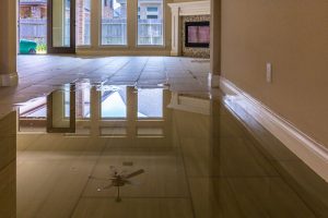 standing water in home after flood