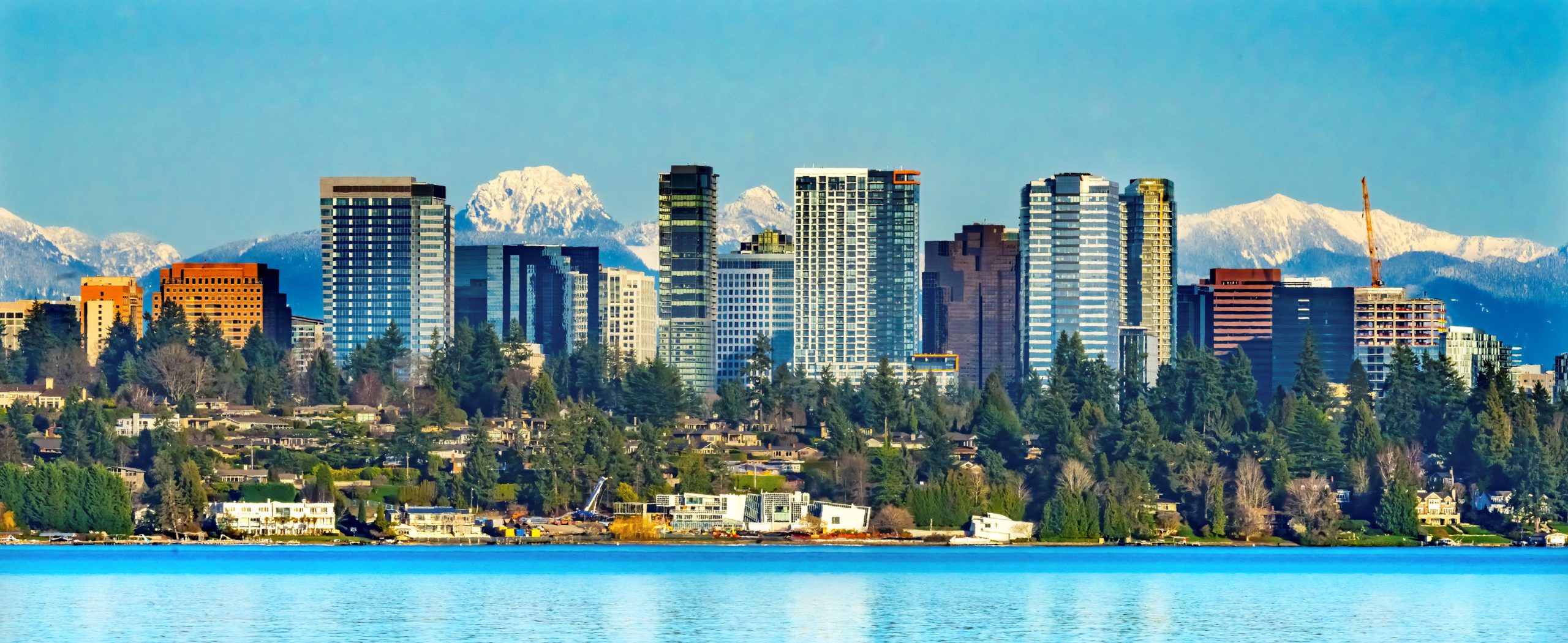 Bellevue Skyline