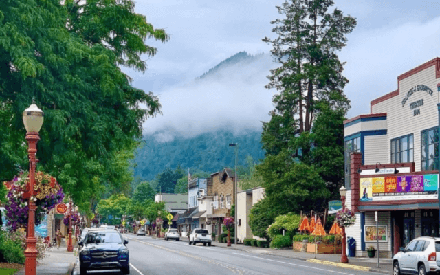 Issaquah Skyline