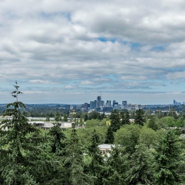 Overlake Skyline