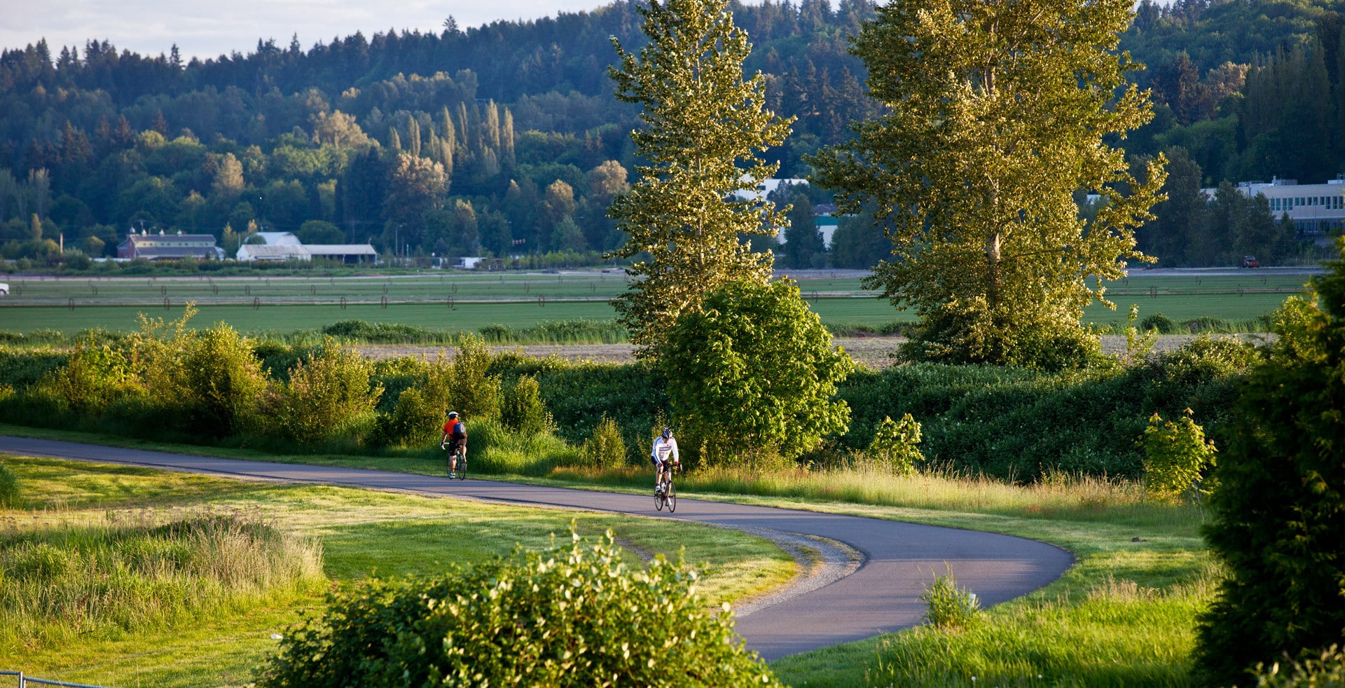 Woodinville Skyline