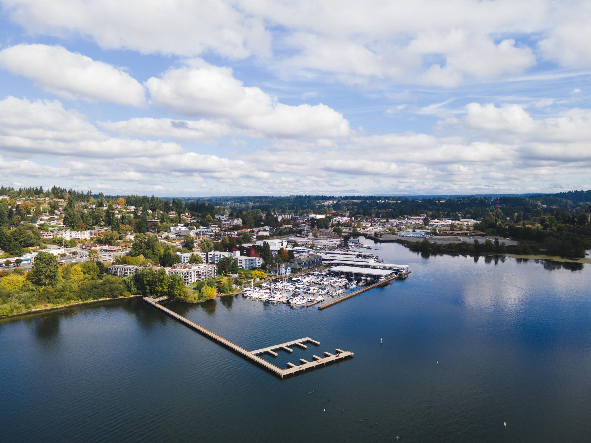 Kenmore Skyline