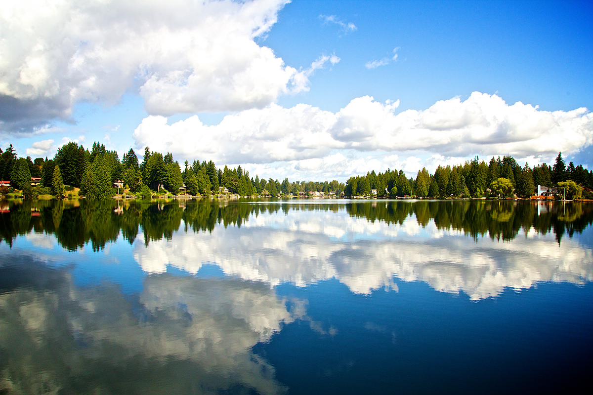 Martha Lake Washington