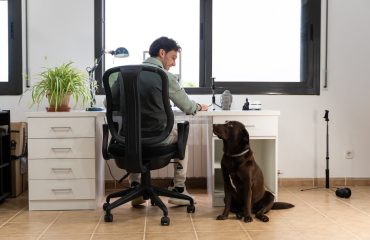 a man is working from home with his computer in the office and his dog distracts him