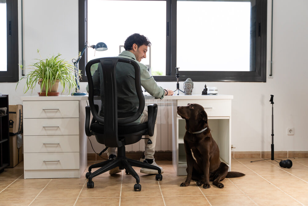 a man is working from home with his computer in the office and his dog distracts him